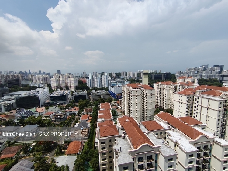 Stirling Residences (D3), Apartment #450198251